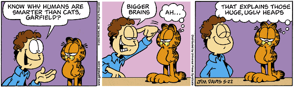 garfield3.gif