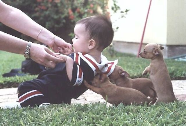 littlehelpers.jpg